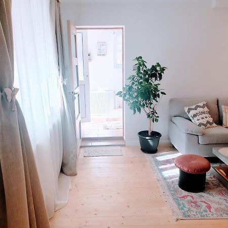 Cosy Studio-House With Terrace Târgu-Mureş 外观 照片