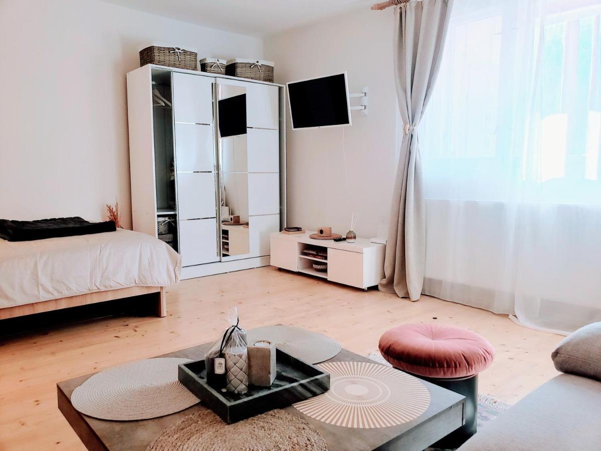 Cosy Studio-House With Terrace Târgu-Mureş 外观 照片